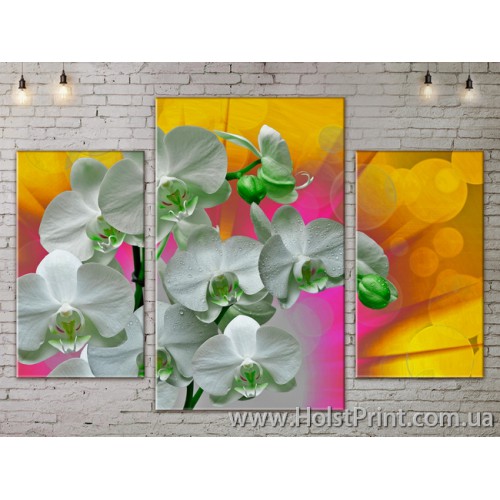 Модульные Картины, Цветы, Art. FLOW777033, , 1387.00 грн., FLOW777033, , Цветы (Фотокартины)